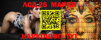 Альфа ПВП Краснодар